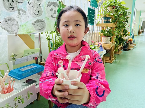 海鲜菇魔法变变变！变出好多…