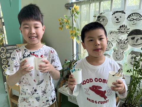 海鲜菇怎么变样了？