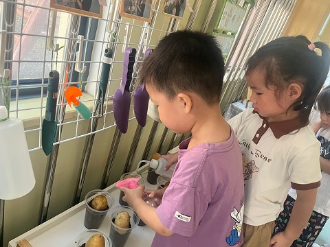 一起来种植吧！小菜园里植物…